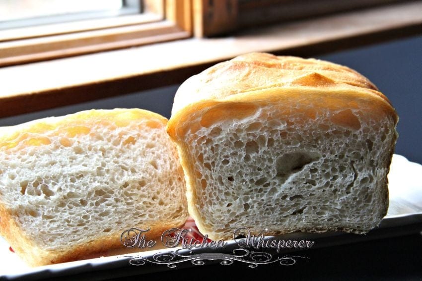 No Knead Crusty White Sandwich Bread6