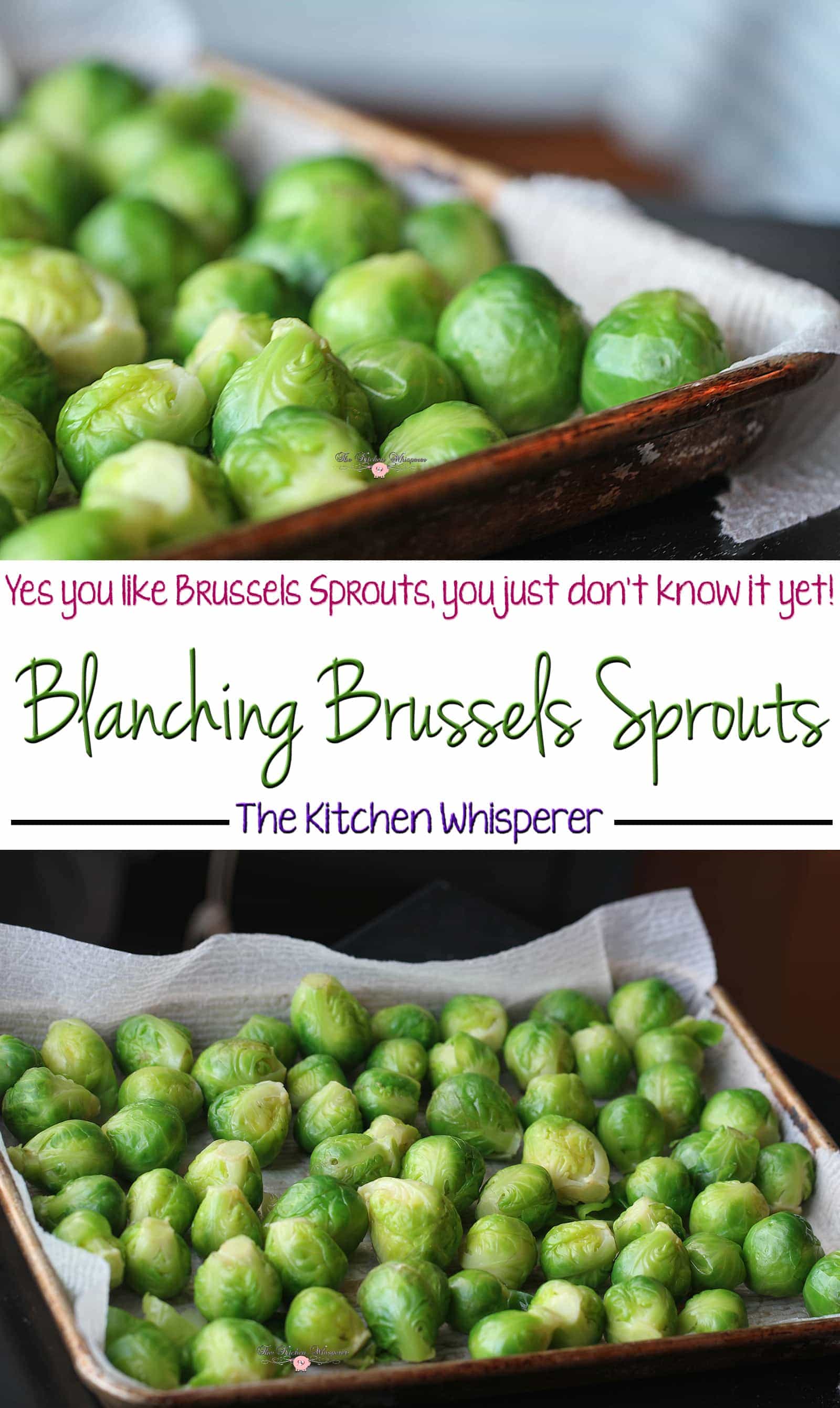 Learn how to properly freeze Brussels Sprouts