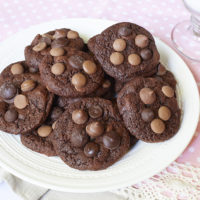 Double Chocolate Occasion Cookies for every cookie occasion!
