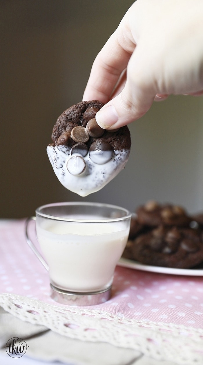 Double Chocolate Occasion Cookies for every cookie occasion!