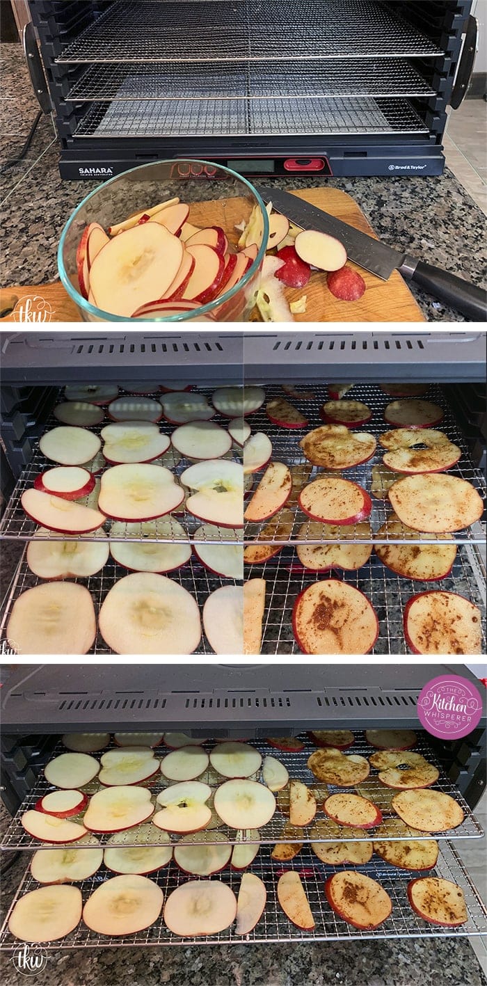 Healthy, Easy Delicious Homemade Apple Chips!