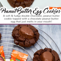 Double Chocolate Peanut Butter Egg Cookies