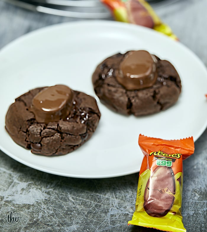 Double Chocolate Peanut Butter Egg Cookies