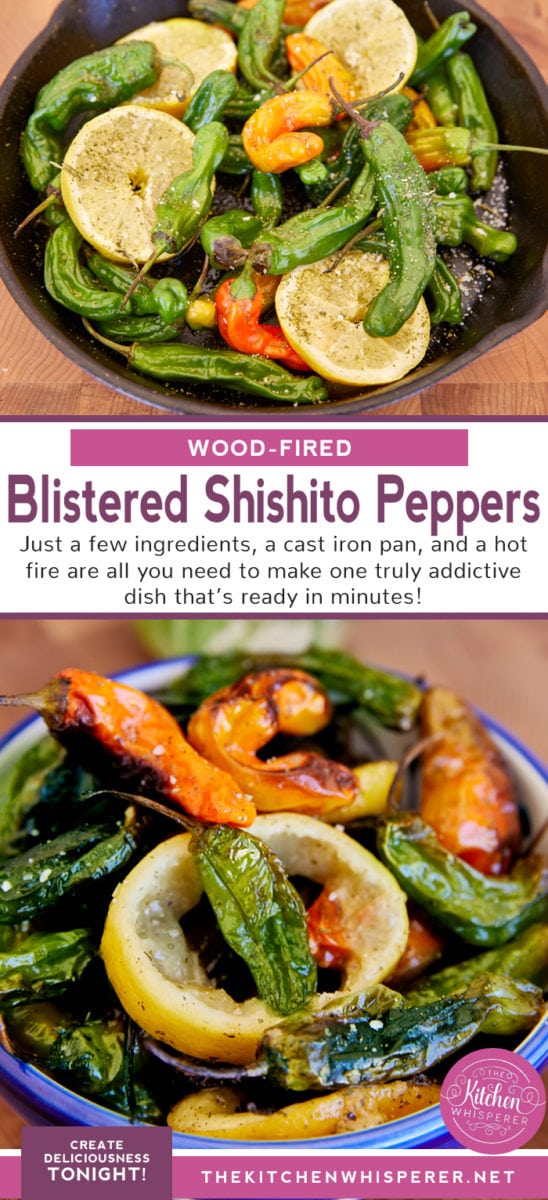 Wood Fired Shishito Peppers