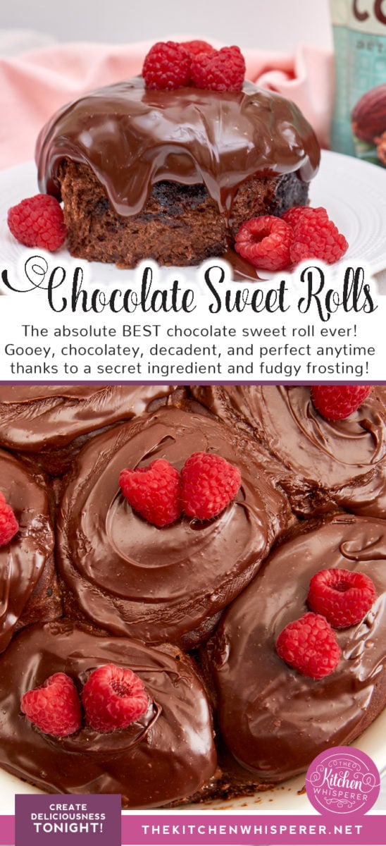 Chocolate Sweet Rolls