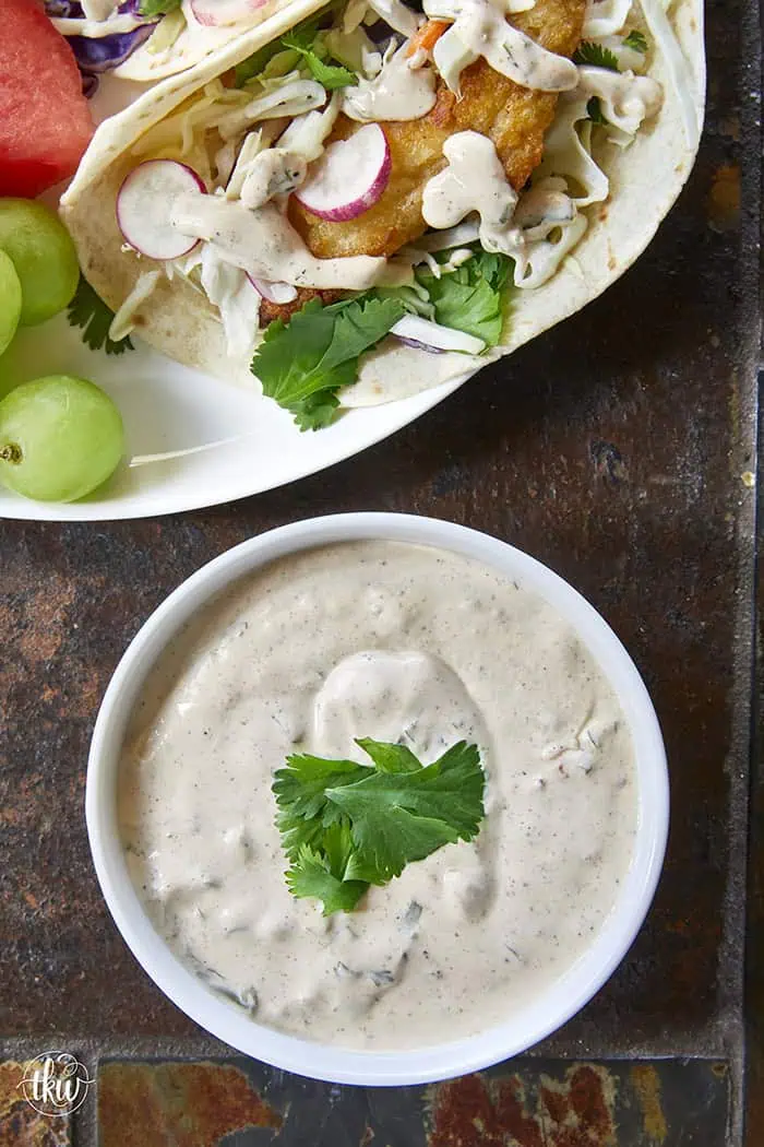 Rich's Spiced Yogurt'n Mayo White Sauce