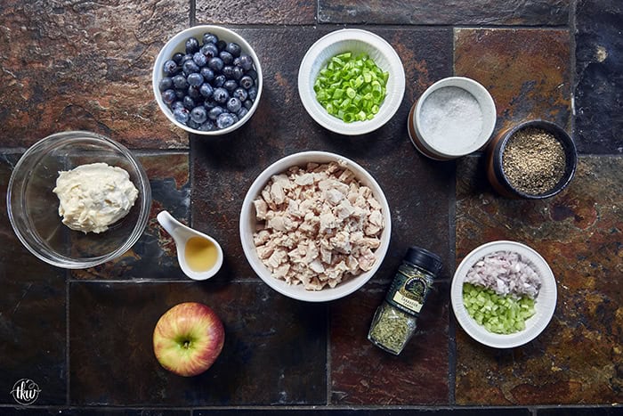 A creamy deli chicken salad packed with tender white meat chicken, sweet fresh blueberries, and crunchy diced apples, accented by shallots, scallions, and celery, all tossed in a seasoned tarragon-mayo dressing brightened with apple cider vinegar.